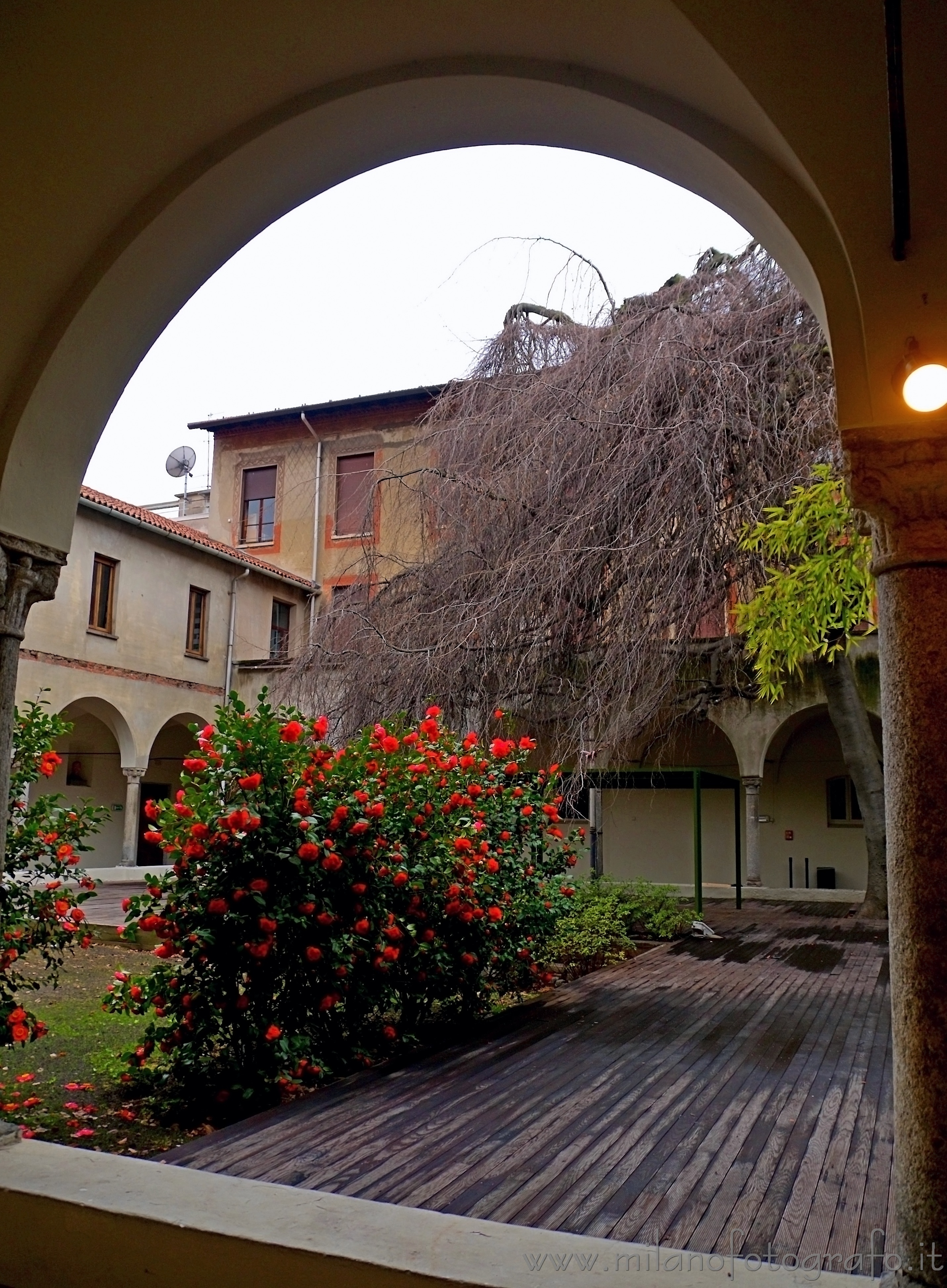 Milano: Primavera uggiosa in un chiostro dell'Umanitaria - Milano Milano: Primavera uggiosa in un chiostro dell'Umanitaria - Milano
