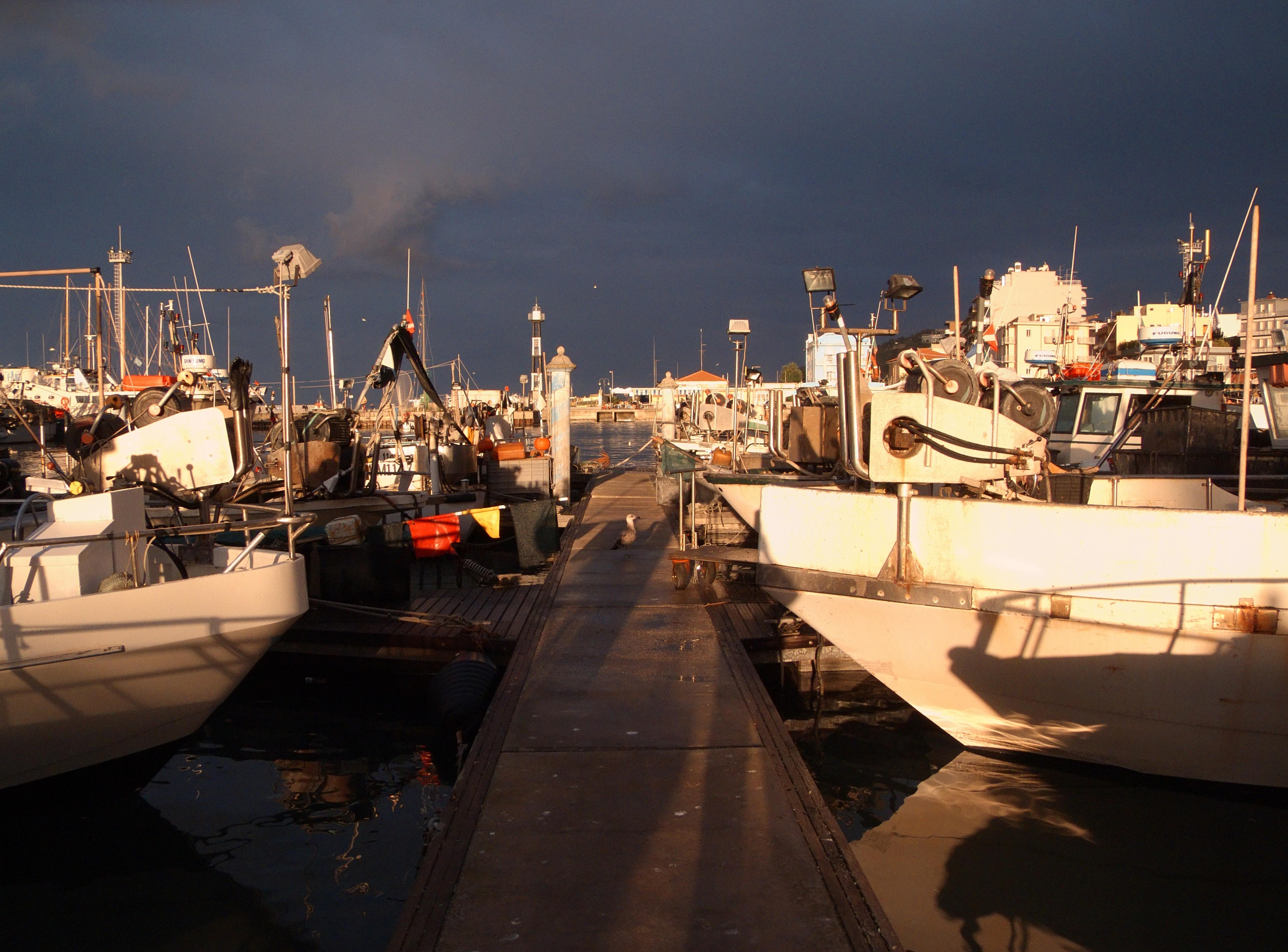 Cattolica (Rimini, Italy): Ships in the harbour of Cattolica - Cattolica (Rimini, Italy)