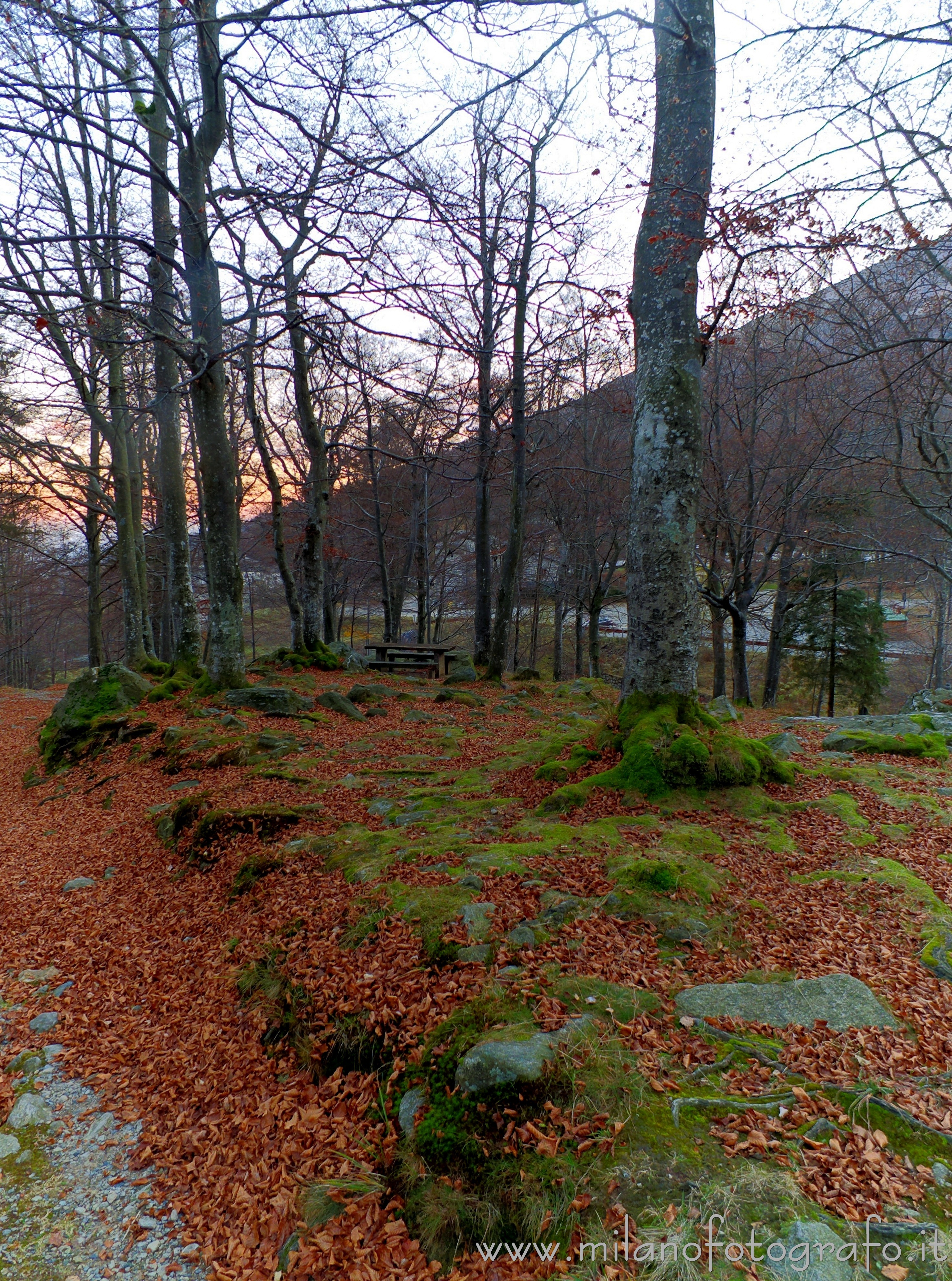 Biella (Italy) - Autumn darkening in the woods around the Sanctuary of Oropa