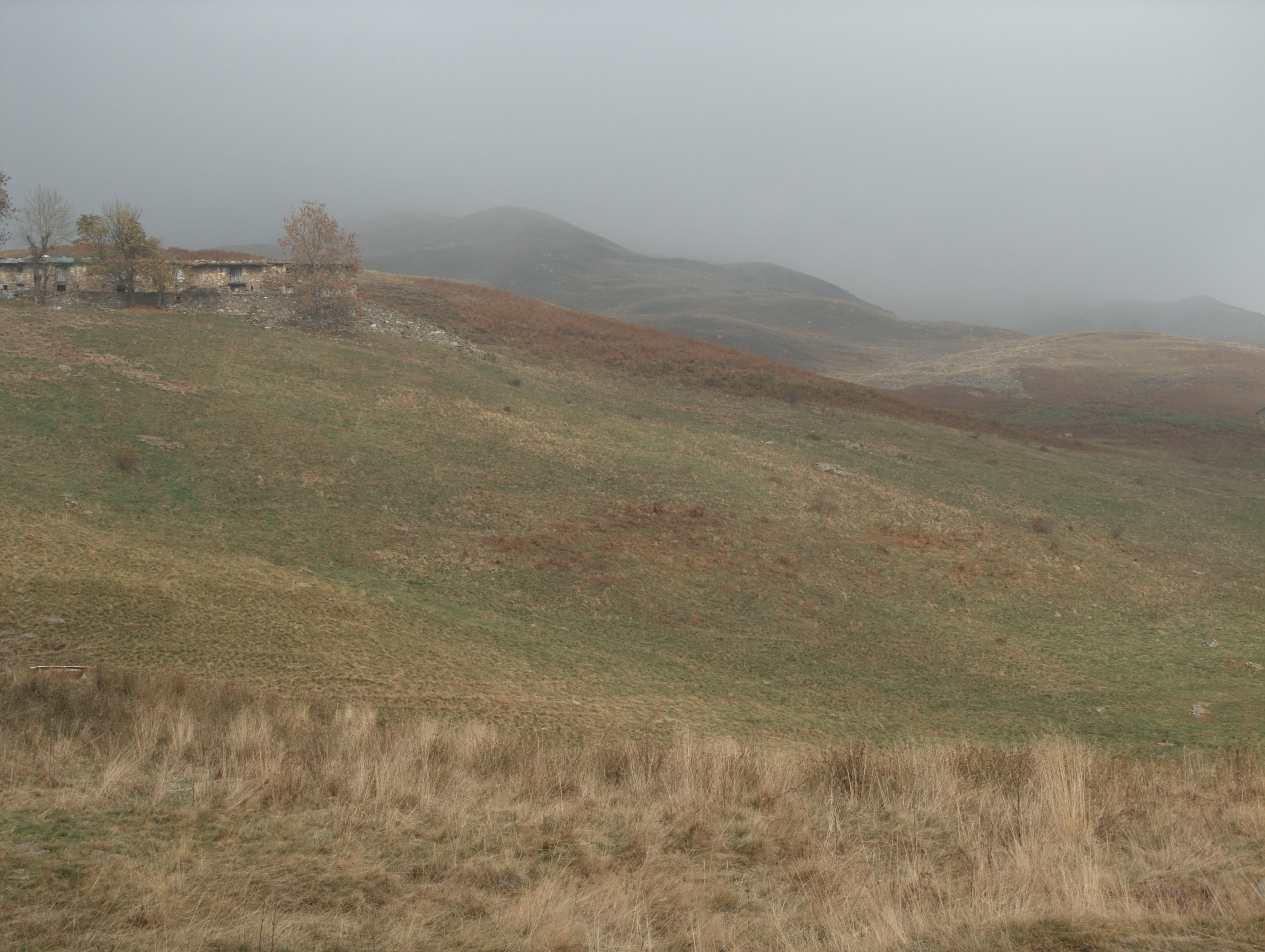 Bielmonte (Biella, Italy) - Low clouds on the meadows of Bielmonte (Biella)