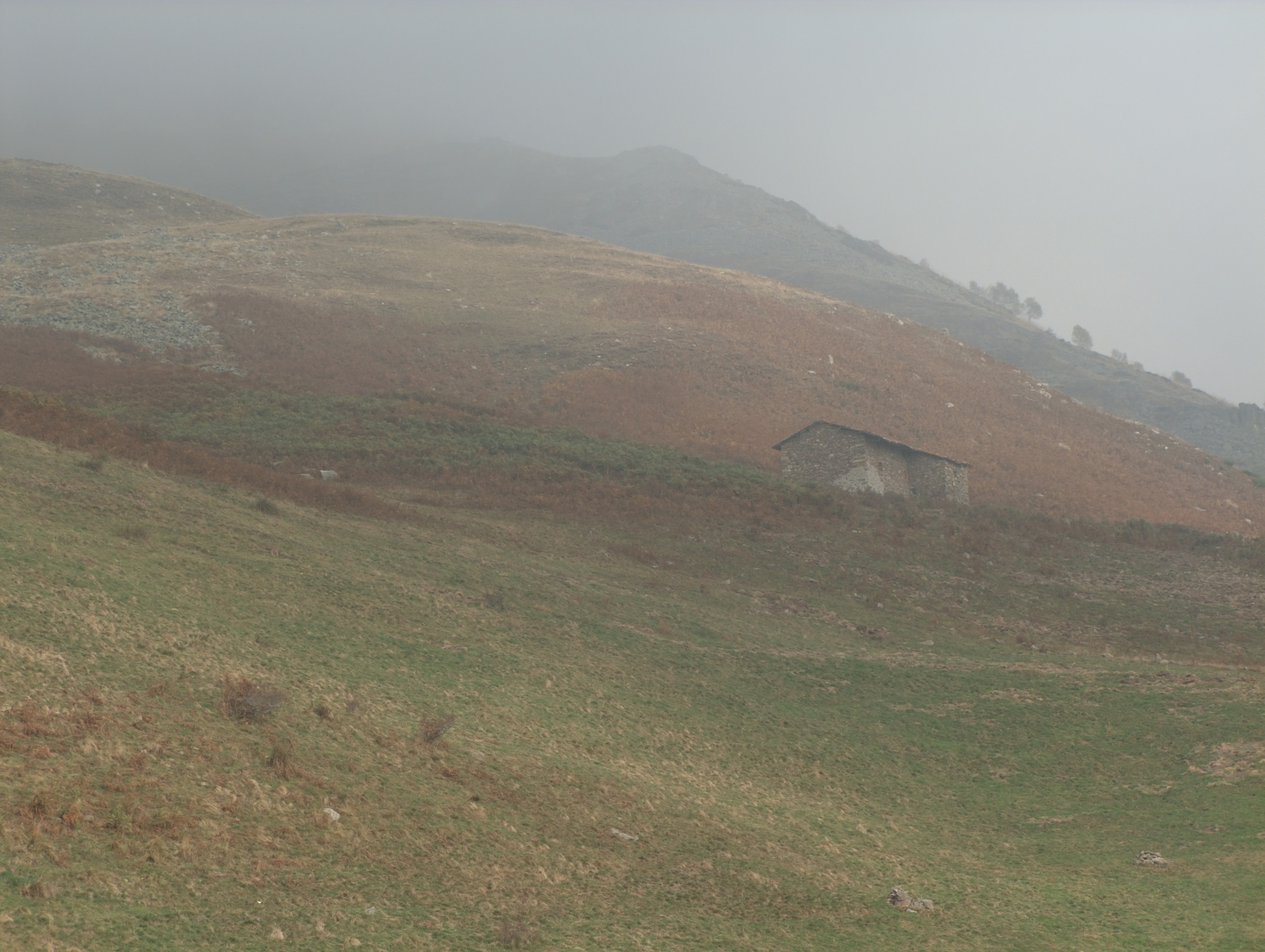 Bielmonte (Biella, Italy) - Meadows of Bielmonte with low clouds
