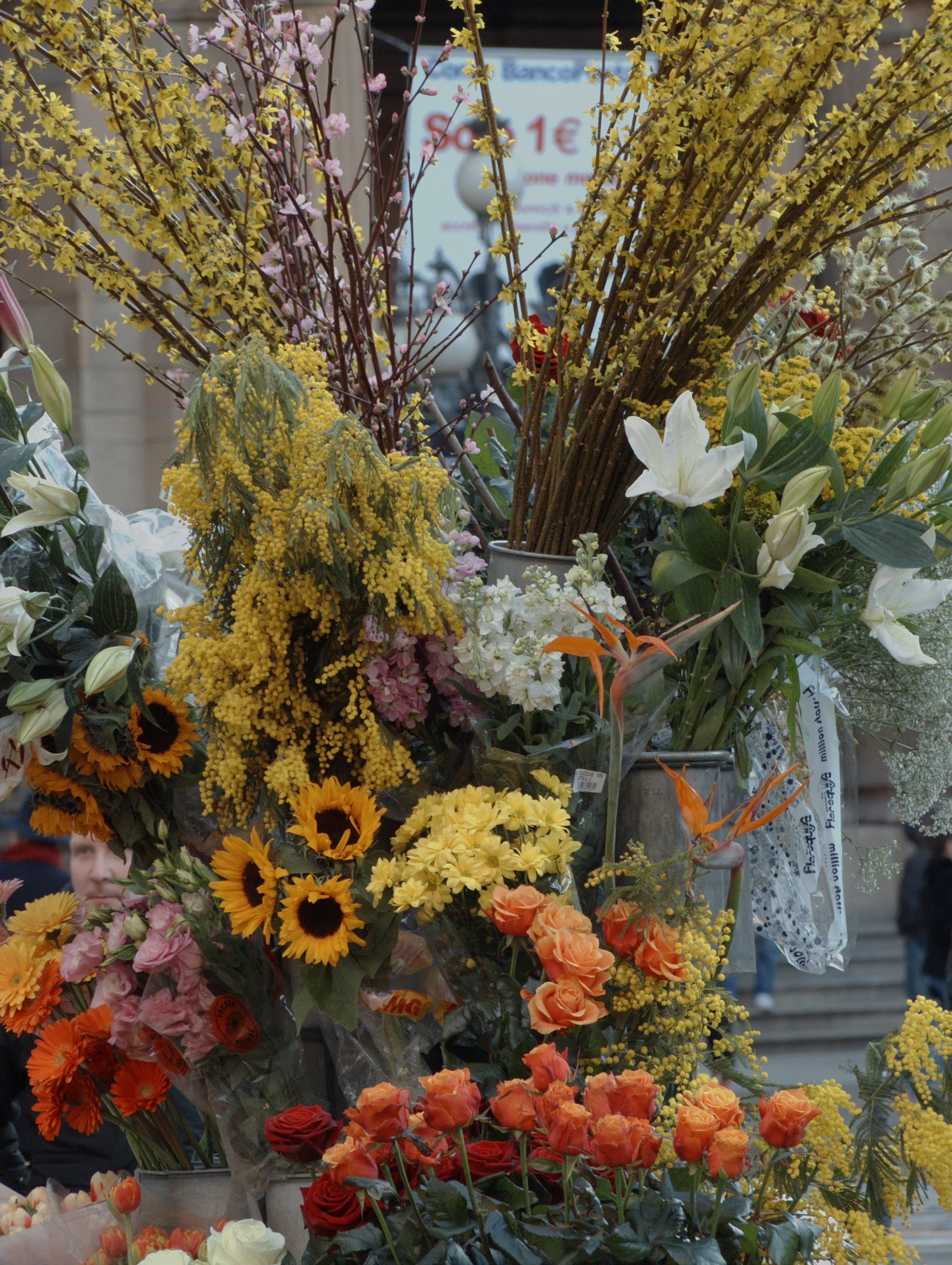 Milan (Italy): Flowers sold on the street - Milan (Italy)