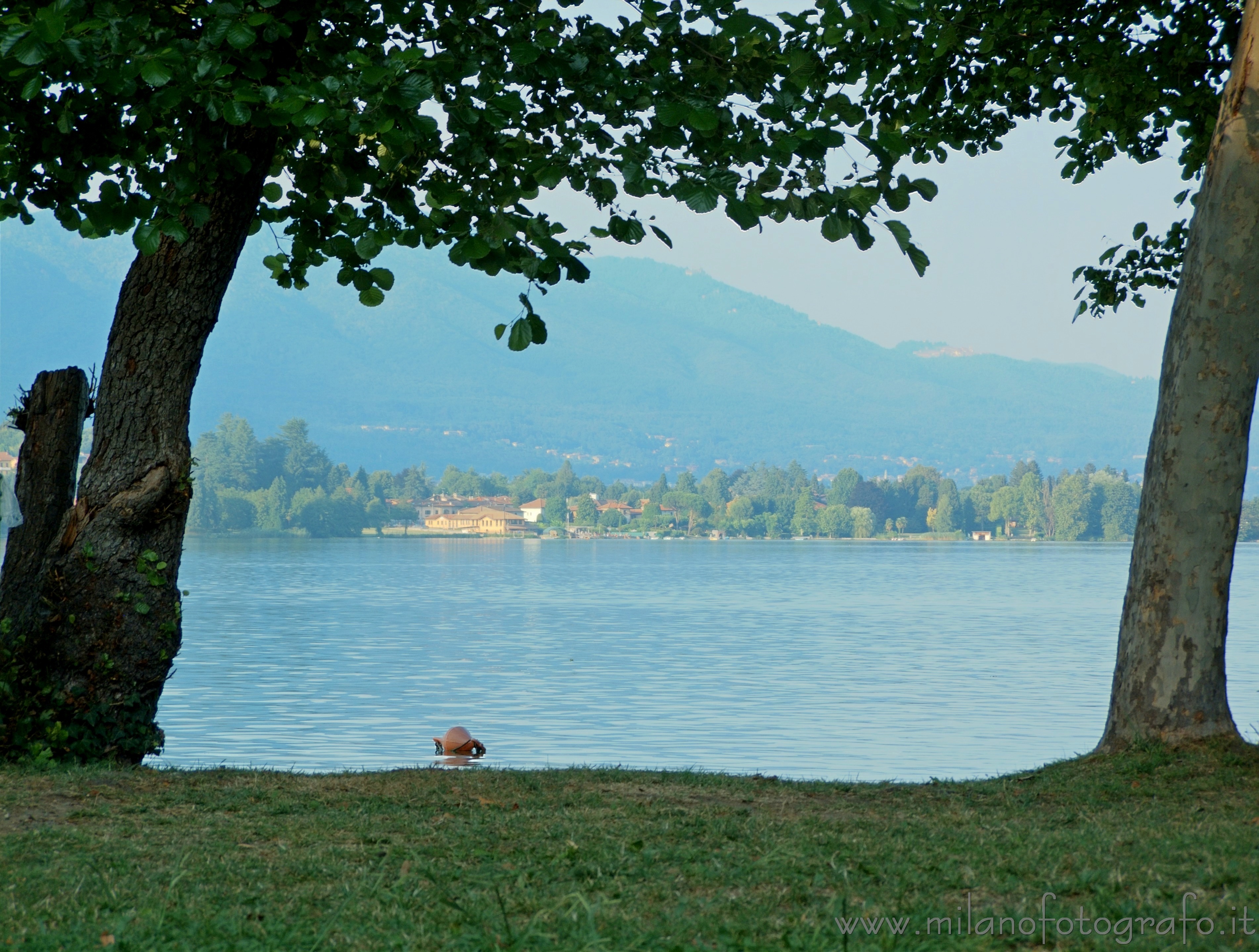 Cadrezzate (Varese): Lago di Monate - Cadrezzate (Varese)