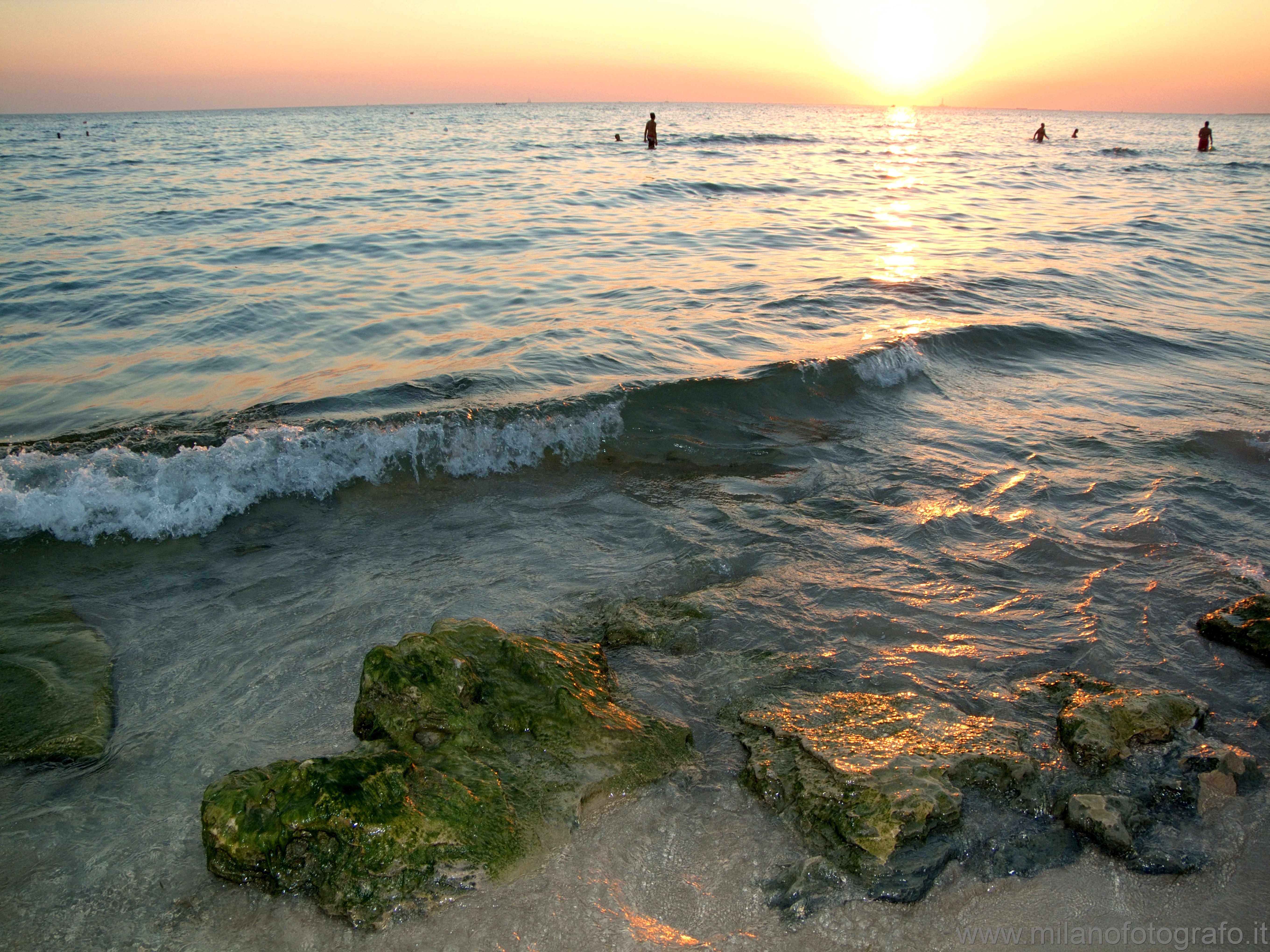 Baia Verde frazione di Gallipoli (Lecce): Tramonto con rocce coperte di alghe in primo piano - Baia Verde frazione di Gallipoli (Lecce)