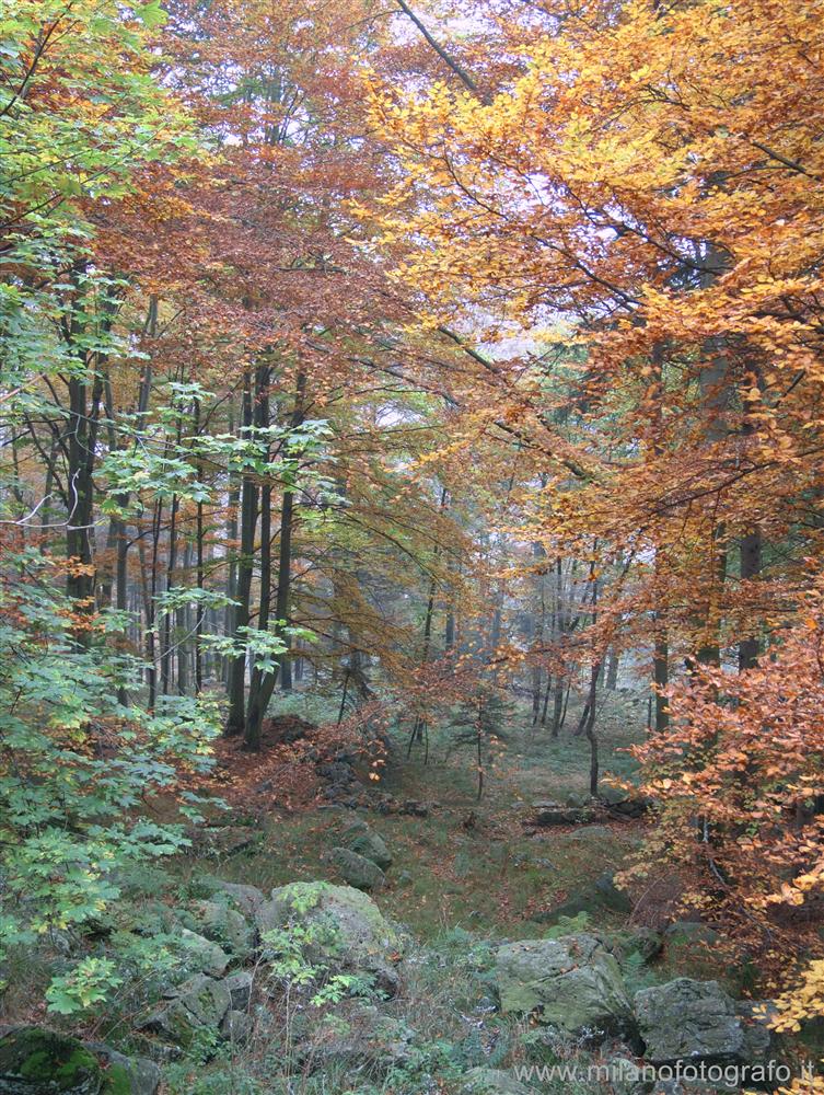 Biella, Italy - Autumn woods above the Sanctuary of Oropa