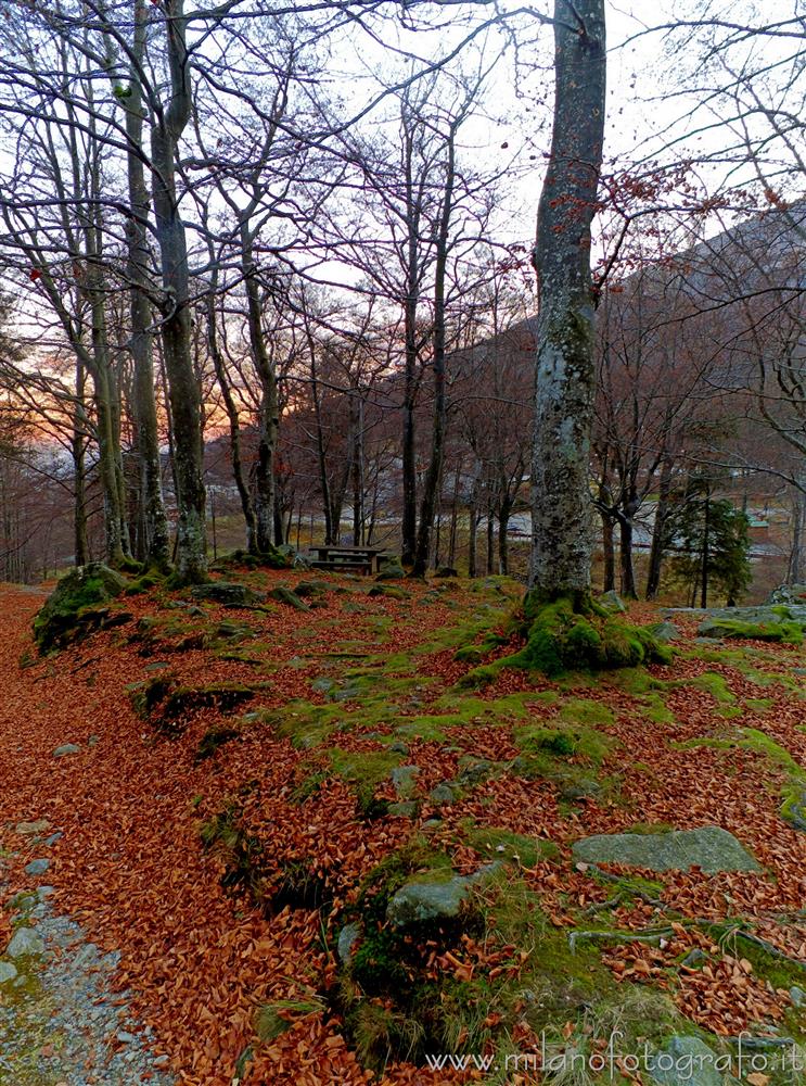 Biella - Crepuscolo autunnale  nel bosco intorno al Santuario di Oropa