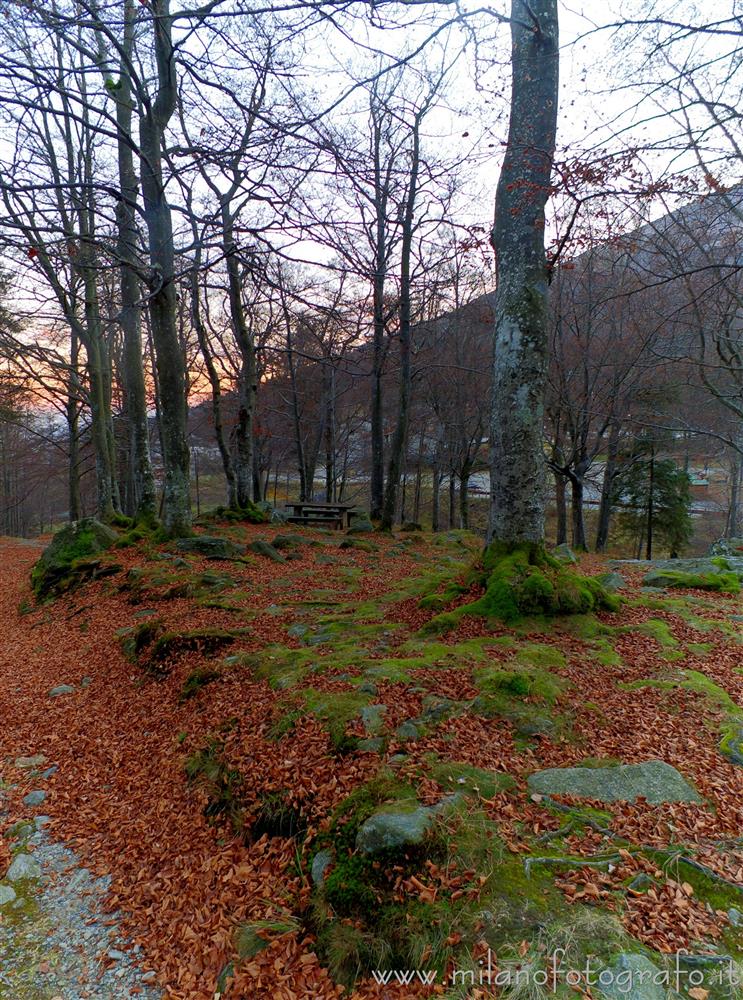 Biella - Crepuscolo autunnale  nel bosco intorno al Santuario di Oropa