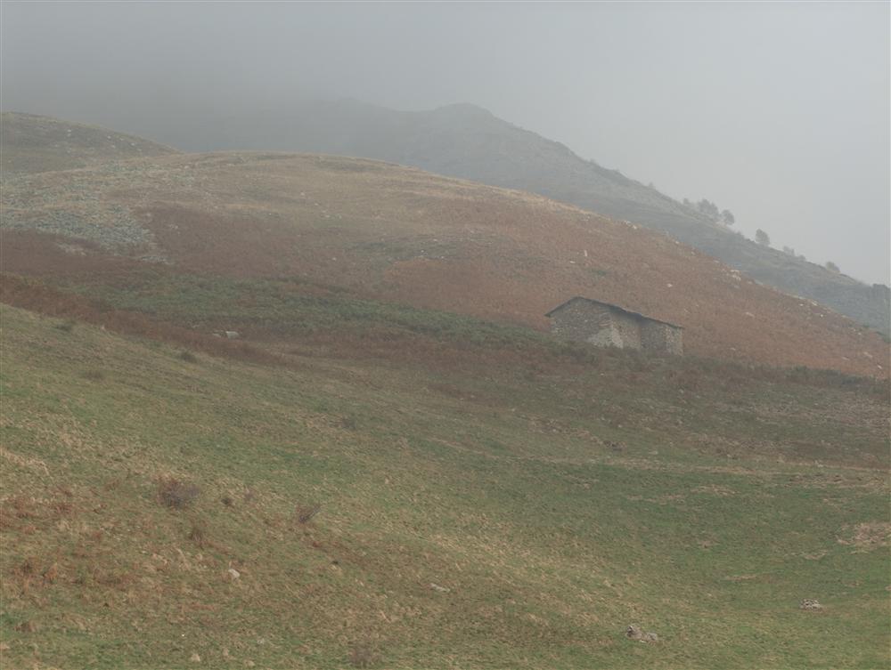 Bielmonte (Biella, Italy) - Meadows of Bielmonte with low clouds