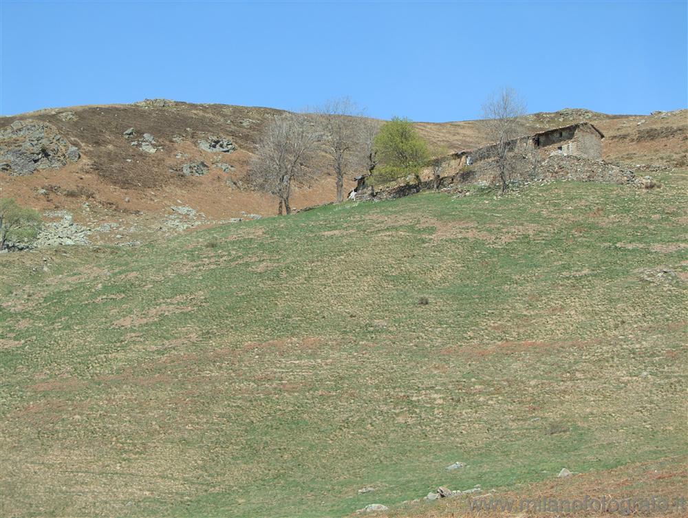 Bielmonte (Biella, Italy) - First greens of spring