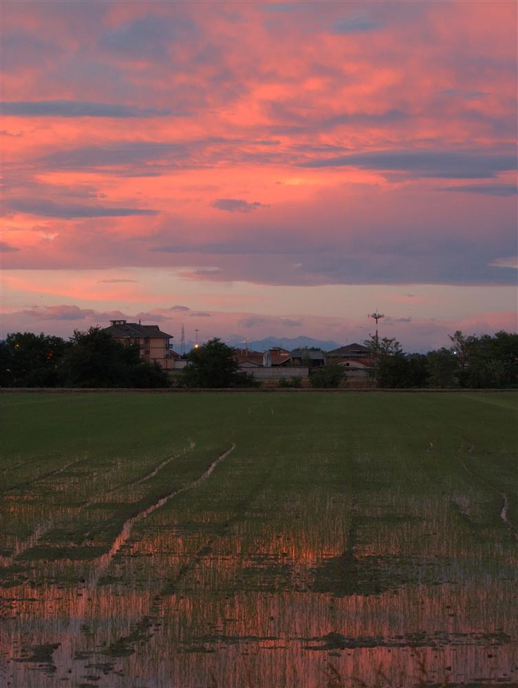 Carisio (Vercelli) - Tramonto sulle risaie del vercellese