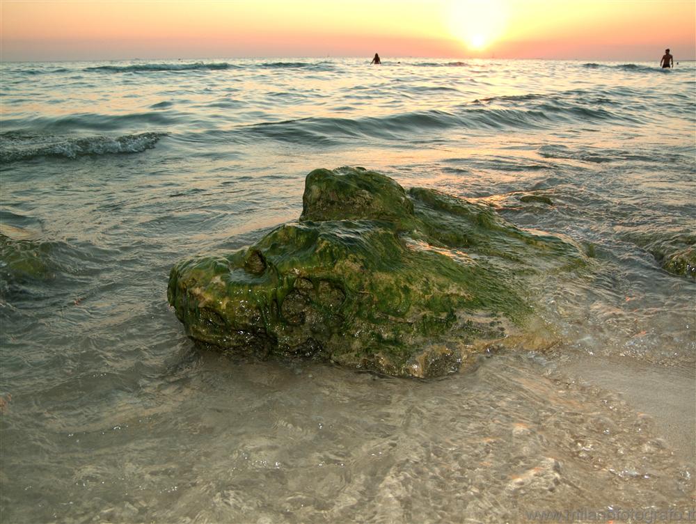 Baia Verde frazione di Gallipoli (Lecce) - Tramonto con rocce coperte di alghe in primo piano