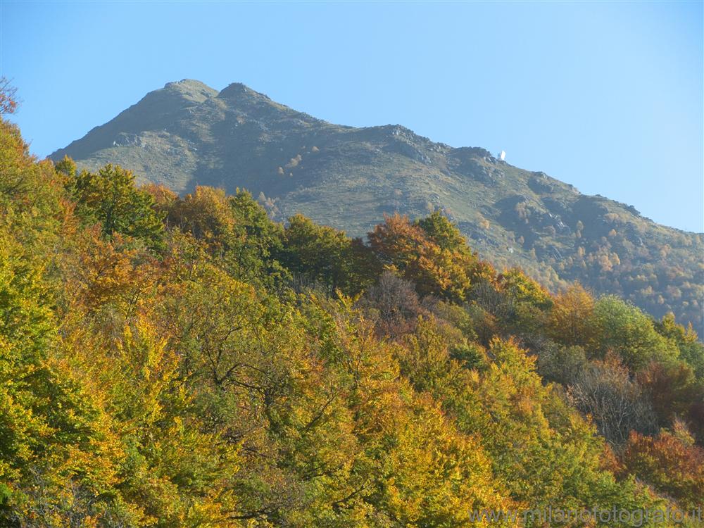 Valmosca fraction of Campiglia Cervo (Biella, Italy) - Autumn woods with Bielmonte in the background