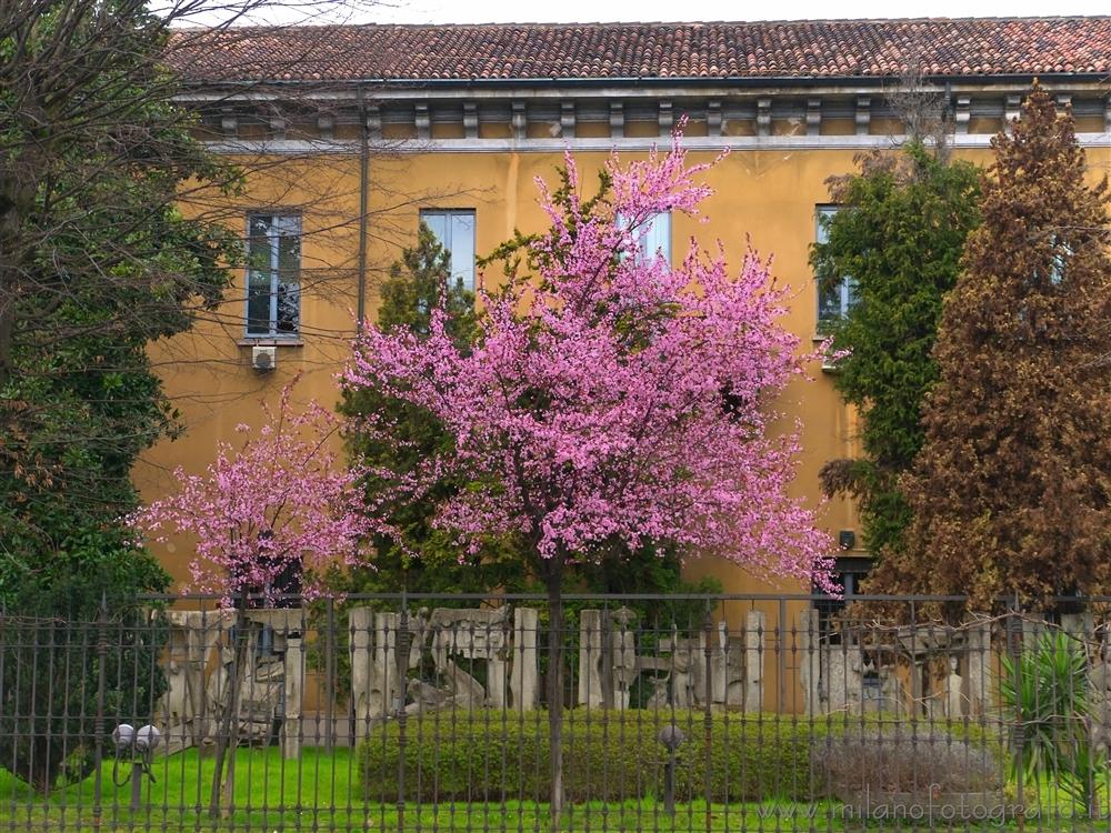 Milan (Italy) - Spring colors in the city center