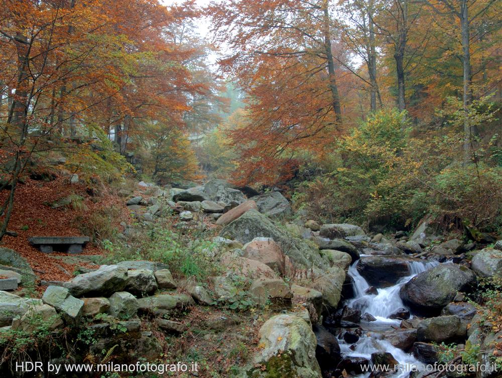 Biella - Bosco autunnale presso il Santuario di Oropa