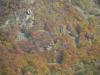 Piaro (Biella, Italia): Stony grounds and autumn woods in the High Cervo Valley