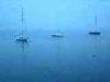 Belgirate (Novara): Barche sul Lago Maggiore nella nebbia