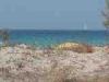 Baia Verde fraction of Gallipoli (Lecce, Italy): The sea behind the dunes