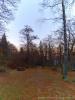 Biella (Italy): Autumn clearing at darkening in the woods around the Sanctuary of Oropa