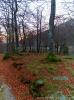 Biella (Italy): Autumn darkening in the woods around the Sanctuary of Oropa