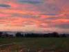 Carisio (Vercelli, Italy): 0
