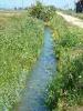 San Damiano fraction of Carisio (Vercelli, Italy): Spring landscape