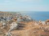 Otranto (Lecce, Italy): The coast between Otranto and Porto Badisco