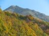 Valmosca fraction of Campiglia Cervo (Biella, Italy): Autumn woods with Bielmonte in the background