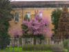 Milan (Italy): Spring colors in the city center