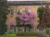 Milano: Colori primaverili in centro