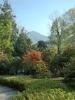 Tremezzo (Como, Italy): Detail of the park of Villa Carlotta