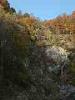 Piaro (Biella, Italy): Multicolord autumn woods