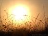 Torre San Giovanni (Lecce): Sole basso dietro le dune