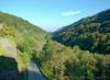 Valmosca frazione di Campiglia Cervo (Biella): Boschi primaverili nella valle del Cervo