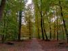 Bollate (Milan, Italy): Autumn in the park of Villa Arconati