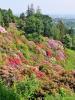 Pollone (Biella, Italy): The colors of the Rhododendron basin in the Burcina Park