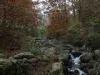 Biella, Italy: Autumn woods near the Sanctuary of Oropa