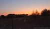 Torre San Giovanni (Lecce, Italy): Dusk on the Mediterranean scrub