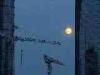 Milano: La luna dietro ai nuovi grattacieli di Garibaldi