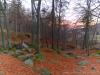 Biella (Italy): Dead leaves carpet in the woods around the Sanctuary of Oropa