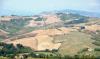 Tavullia (Pesaro, Italy): Landscape with cultivated fields