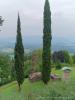 Montevecchia (Lecco): Vista verso la Brianza dal Santuario della Beata Vergine del Carmelo