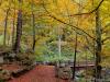 Biella, Italy: Autumn woods with little bridge near the Sanctuary of Oropa