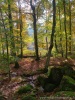 Biella (Italy): Autumn forest in backlight near the Sanctuary of Oropa