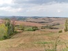 Saludecio (Rimini): Vista da via Pulzona sulla campagna romagnola a fine Estate