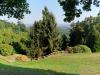 Burcina Park in Pollone (Biella. Italy): Meadows and woods