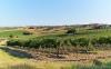 San Clemente (Rimini, Italy): Summer Romagna countryside