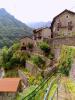 Valmosca frazione di Campiglia Cervo (Biella): Giardini a terrazze sul bordo del paese