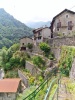 Campiglia Cervo (Biella): Giardini a terrazze sul bordo della frazione Valmosca