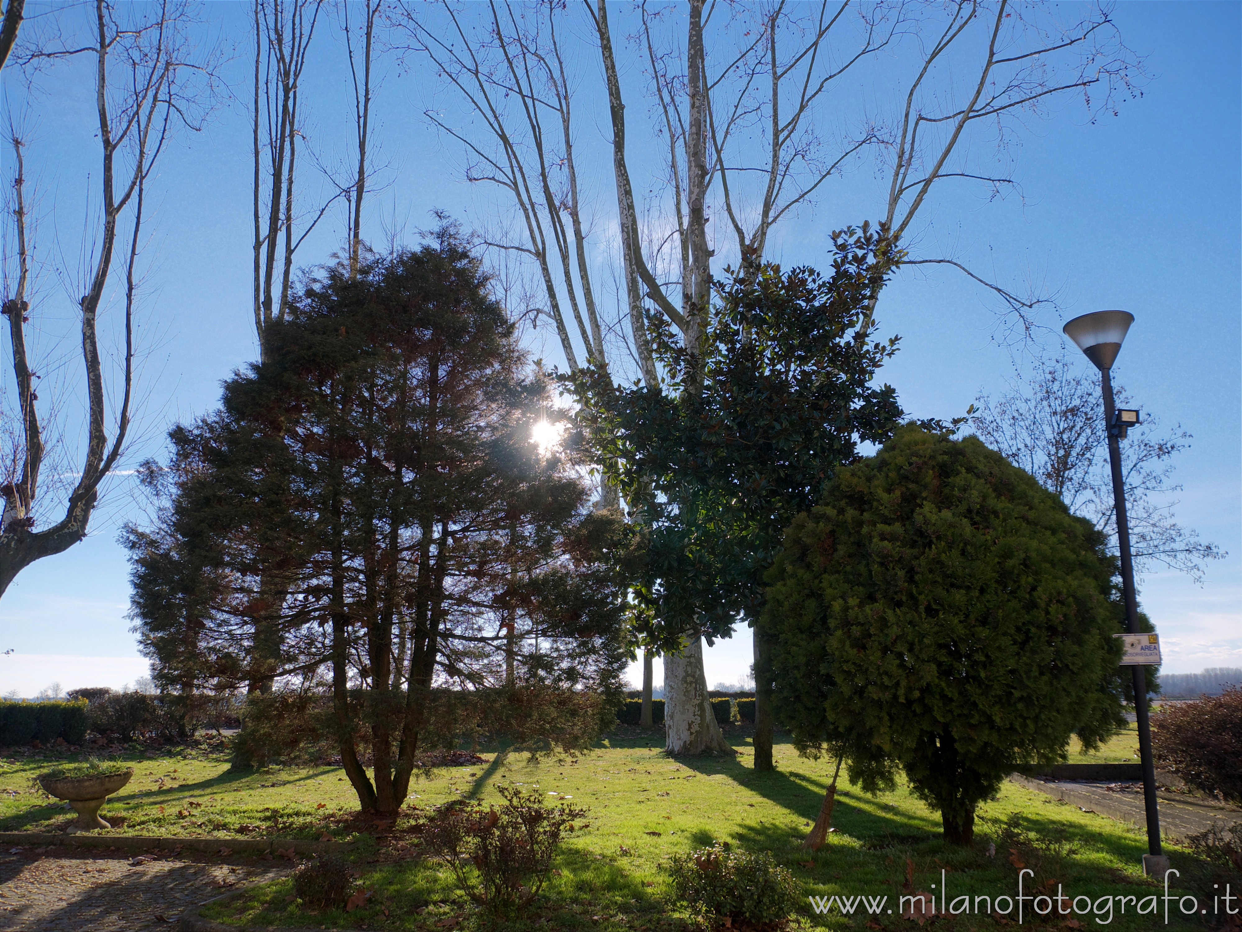 San Nazzaro Sesia (Novara, Italy): Sunset behind trees - San Nazzaro Sesia (Novara, Italy) San Nazzaro Sesia (Novara, Italy): Sunset behind trees - San Nazzaro Sesia (Novara, Italy)