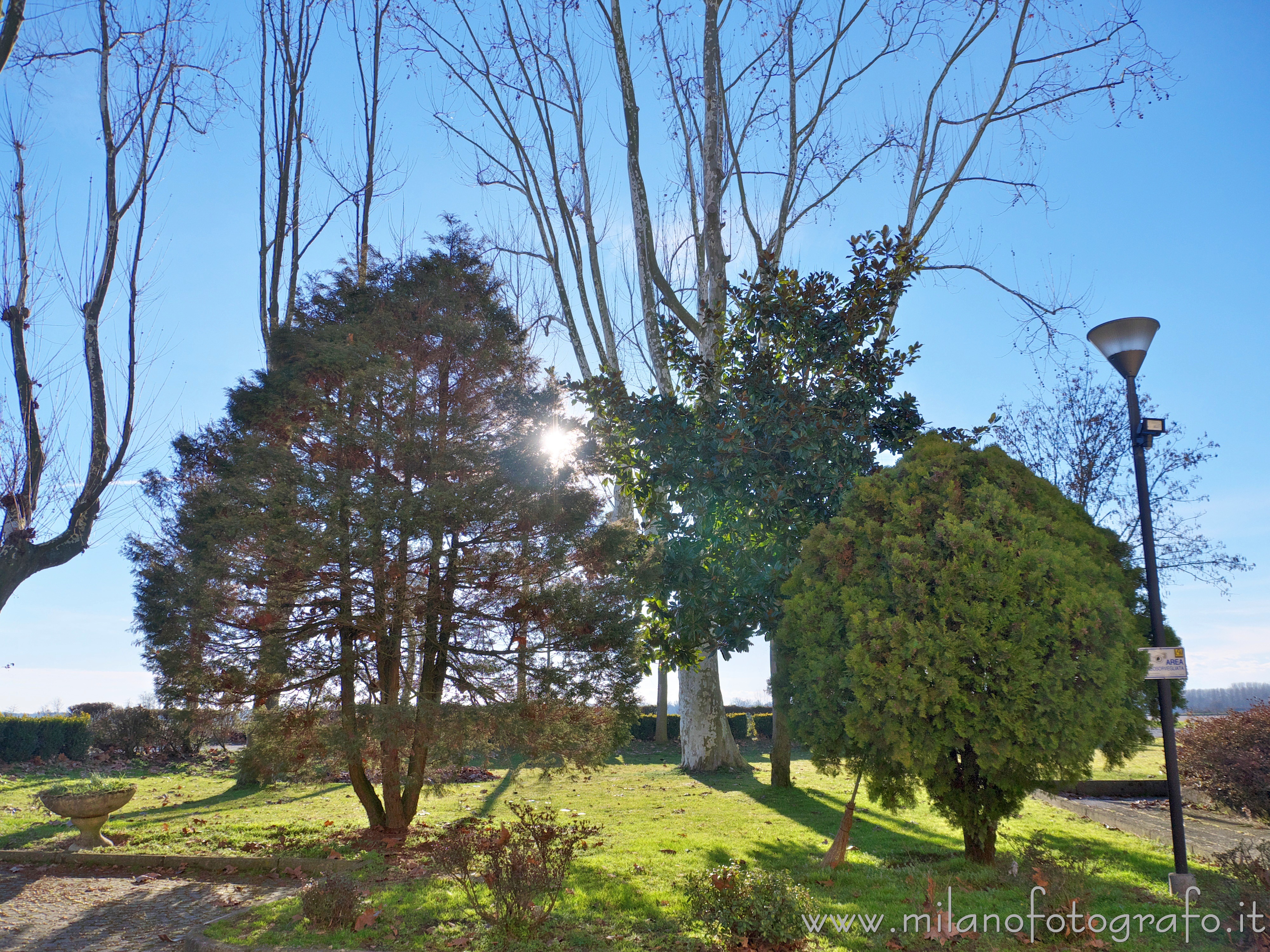 San Nazzaro Sesia (Novara, Italy): Sunset behind trees - San Nazzaro Sesia (Novara, Italy)